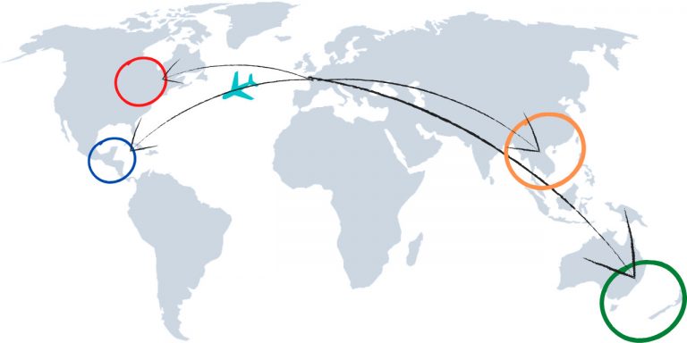 Parcours, Voyages, Camille Mouzard / Education, Professional Trainings, Work Experiences, background