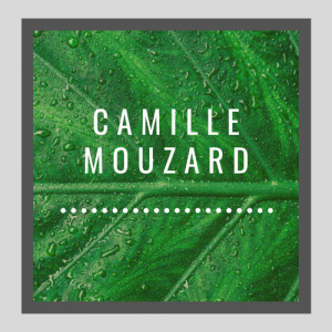 Camille Mouzard Chef de projets Project coordinator