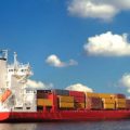Transport International formation Camille MOUZARD / background, Education, Training, Work Experience
